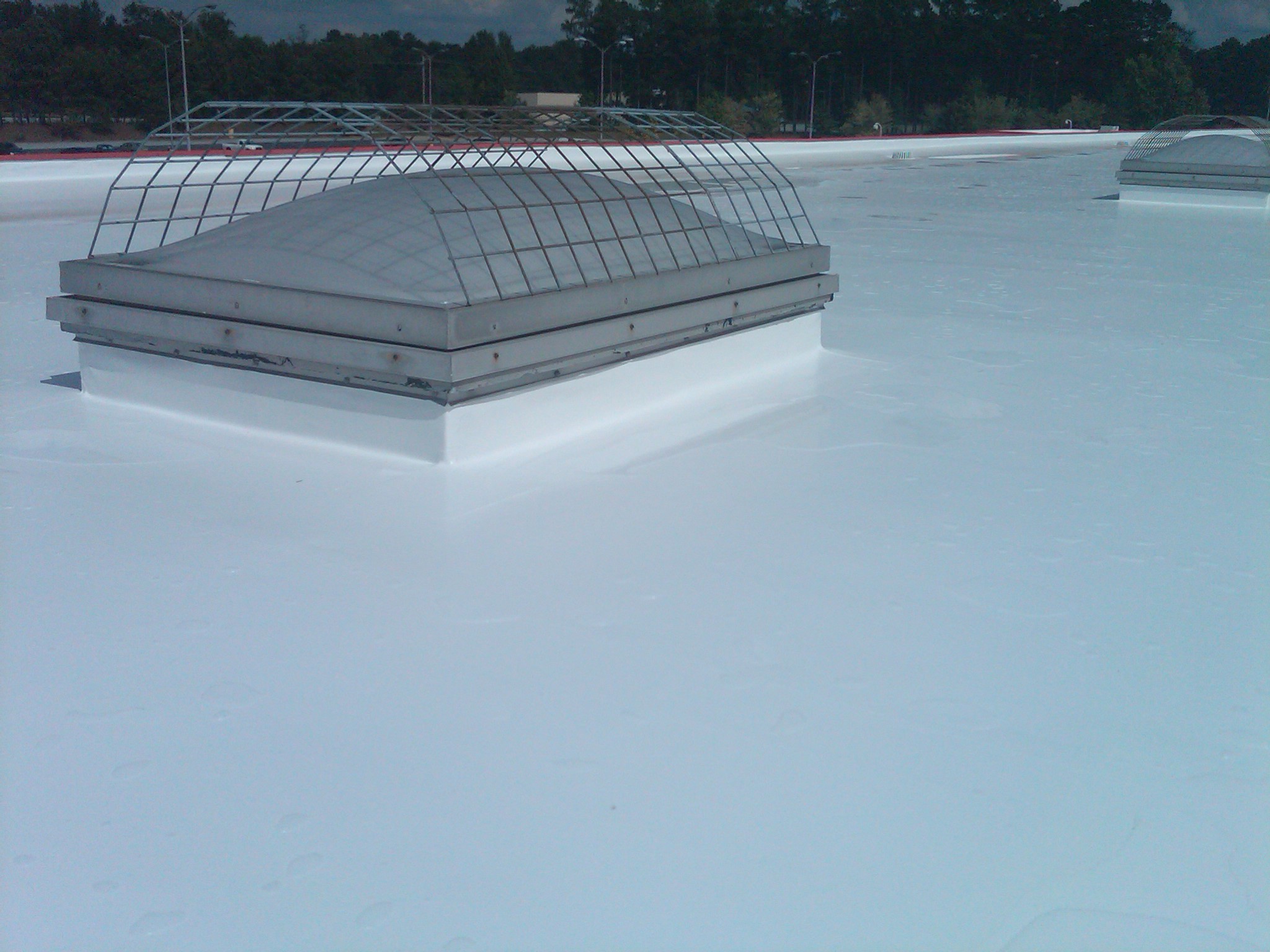 Silicone Roof 84