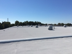 best flat roof material