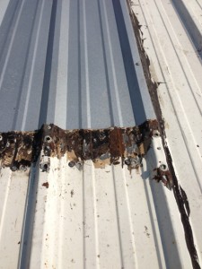 Rusted metal roof needs replacement