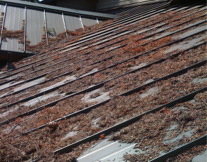 Metal Roof Repair Guidelines