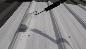 Liquid roof installation
