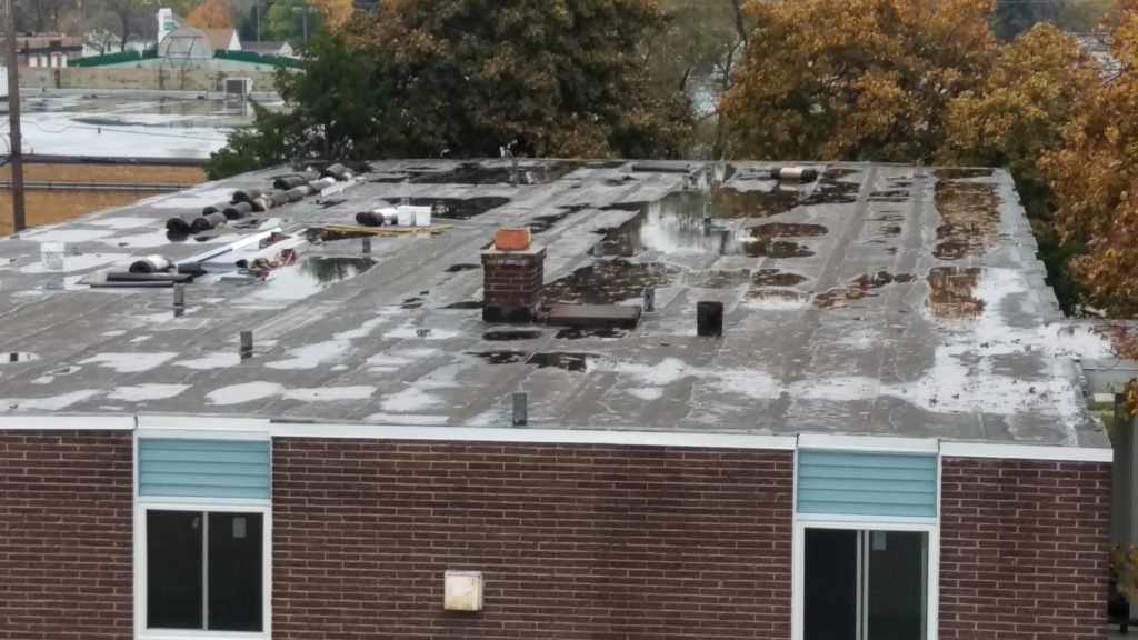 Ponding water on flat roof.